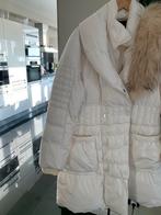 Discovering dons jas met afneembare kraag 46 off white zgan, Ophalen of Verzenden, Zo goed als nieuw, Maat 46/48 (XL) of groter