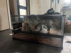 Exoterra terrarium en toebehoren, Dieren en Toebehoren, Overige typen, Zo goed als nieuw, 75 tot 110 cm, Ophalen