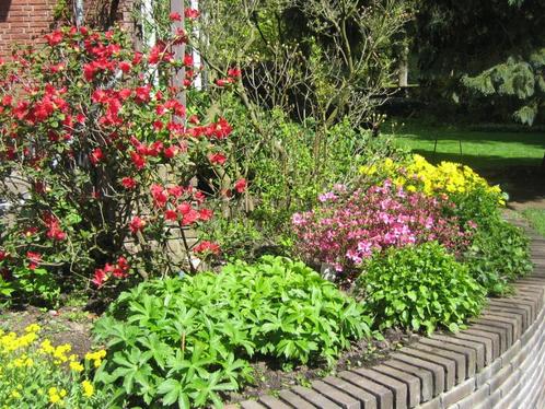 tuinman / tuinvrouw gezocht, Zutphen, voor vast., Diensten en Vakmensen, Tuinmannen en Stratenmakers, Tuinonderhoud of Snoeiwerk