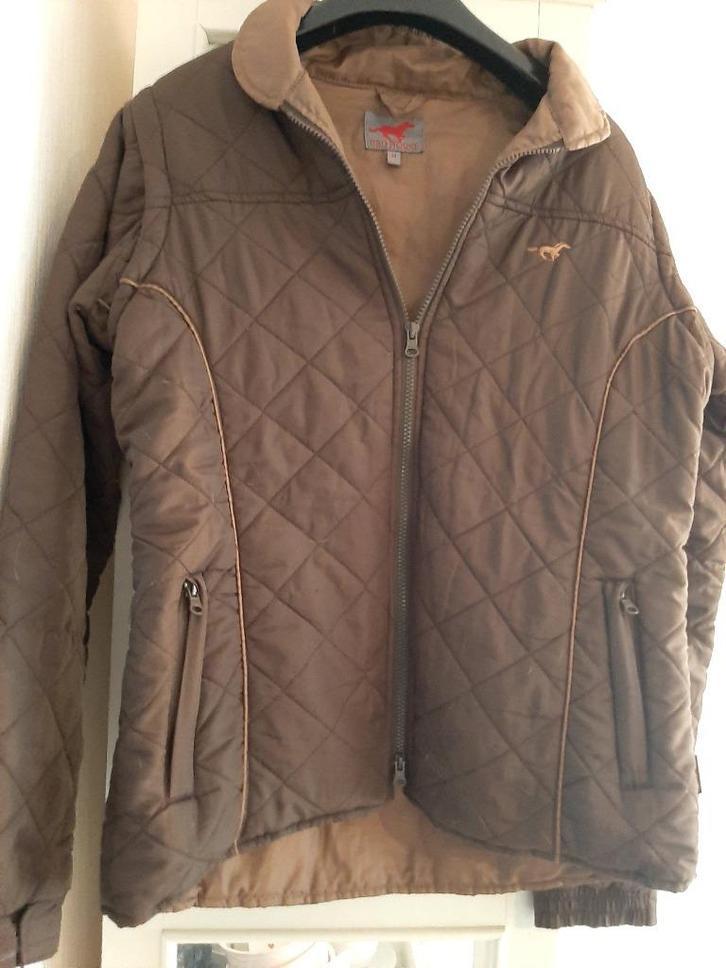Paardrij jasje, Dieren en Toebehoren, Paardrijkleding, Gebruikt, Dames, Bovenkleding, Recreatie, Ophalen
