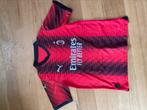 AC Milan voetbalshirt maat M, Ophalen of Verzenden, Zo goed als nieuw, Shirt