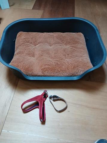 Hondenmand met kussen en 2 halsbanden te koop beschikbaar voor biedingen