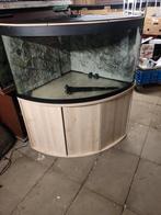 Hoekaquarium met onderkast geen verlichting, Dieren en Toebehoren, Ophalen, Gebruikt, Leeg aquarium