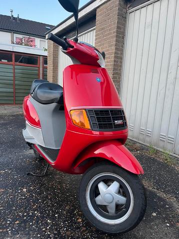 Piaggio Quartz 50 – Nieuwstaat | Volledig onderhouden beschikbaar voor biedingen