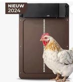 Automatisch kippenhok deur, Meerdere dieren, Kip