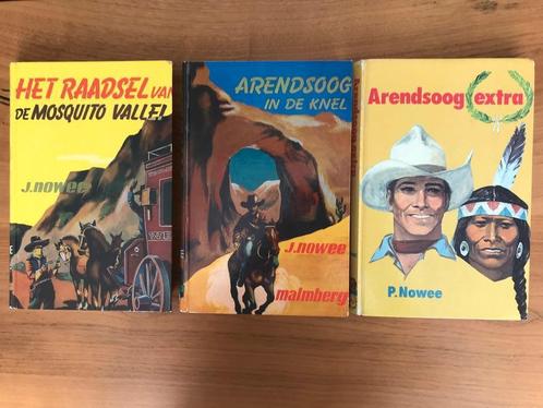 3 Arendsoog Boeken (Nrs 3 - 4 en Extra), Boeken, Kinderboeken | Jeugd | 10 tot 12 jaar, Gelezen, Fictie, Ophalen of Verzenden
