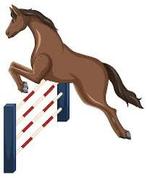 Ervaren bijrijder 18+ voor jong braaf paard, Dieren en Toebehoren, Paarden en Pony's | Verzorgingsproducten, Ophalen of Verzenden