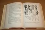 Nederlandse Dendrologie.Dr. B.K. Boom. 1968., Boeken, Natuur, Ophalen of Verzenden, Gelezen