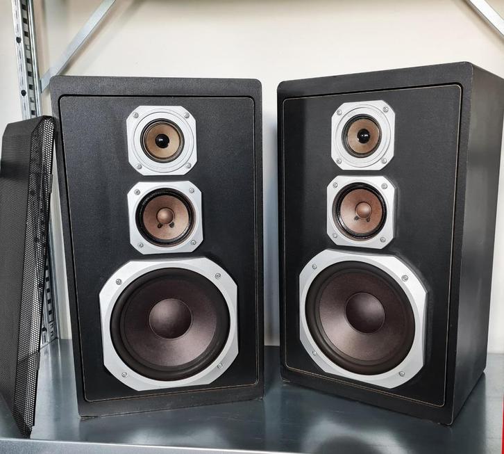 Zeer goede set zware , vintage 50 Watt boxen . 52x30x23 cm, Audio, Tv en Foto, Luidsprekers, Gebruikt, Front, Rear of Stereo speakers