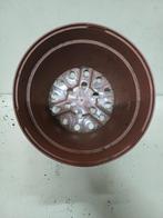 Kweekpotten 5 liter, Tuin en Terras, Bloempotten, Kunststof, Gebruikt, Rond, Ophalen of Verzenden