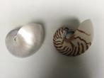 Grote nautilus schelpen, Ophalen of Verzenden, Schelp(en)