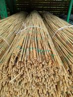 Rietmatten, mooie kwaliteit (*), Niet ingevuld, Niet ingevuld, Nieuw, Ophalen of Verzenden