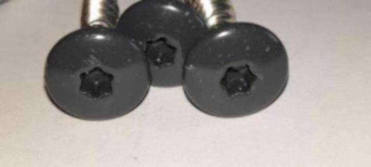 50 st Trespa schroeven (7016) rvs ANTRACIETGRIJS 5,5 X25 mm, Tuin en Terras, Palen, Balken en Planken, Nieuw, Ophalen of Verzenden