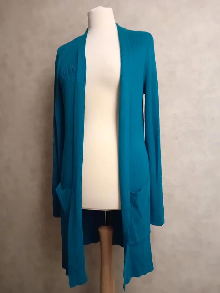 Mooi vest, NED! Nieuw!, Kleding | Dames, Truien en Vesten, Nieuw, Maat 42/44 (L), Blauw, Ophalen of Verzenden