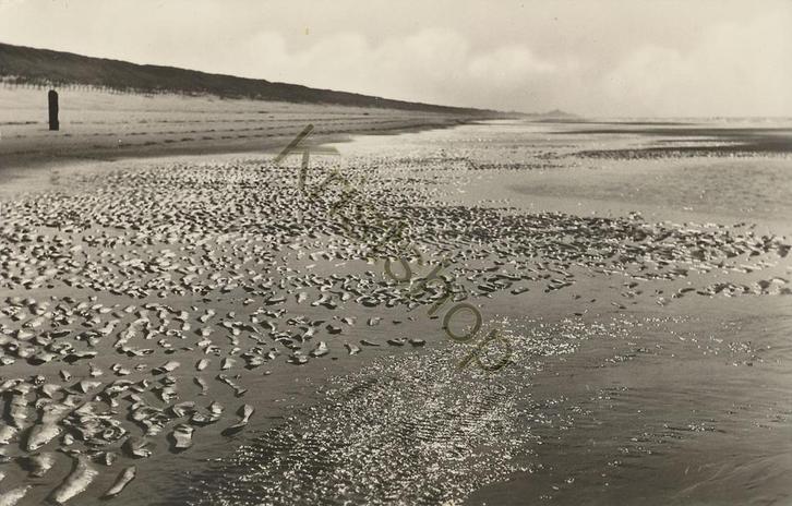 strand [KRST007-4770, Verzamelen, Ansichtkaarten | Nederland, Gelopen, 1960 tot 1980, Verzenden