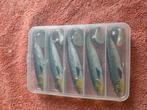 Zeebaars & Snoekbaars Dam shad met loodkop 10gram, Watersport en Boten, Hengelsport | Roofvissen, Ophalen of Verzenden, Nieuw