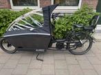 Urban Arrow elektrische bakfiets performance line, Overige merken, 4 kinderen of meer, Ophalen of Verzenden, Zo goed als nieuw