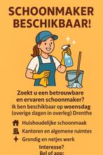Schoonmaak werk gezocht, Overige vormen
