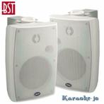 BST 370TW 100Volt Luidspreker set 2-weg 40 Watt, Overige merken, ., Overige typen, Nieuw