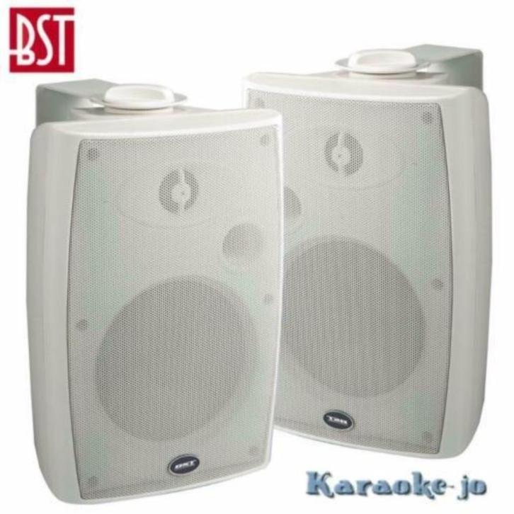BST 370TW 100Volt Luidspreker set 2-weg 40 Watt, Audio, Tv en Foto, Luidsprekers, Nieuw, Overige typen, 120 watt of meer, Overige merken