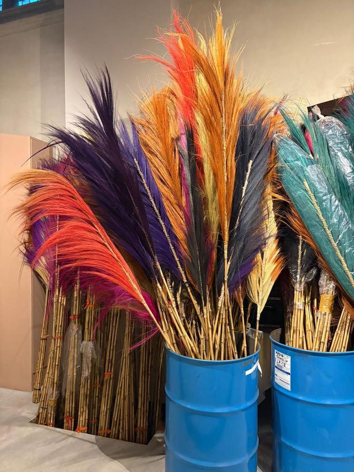 Grote partij natuurlijke pluimen - 9500 stuks, Huis en Inrichting, Woonaccessoires | Droogbloemen, Nieuw, Ophalen