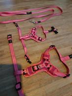 Hondentuigjes merk Rogz. S & m met riem!, Dieren en Toebehoren, Ophalen of Verzenden, Zo goed als nieuw, Hondenriem-accessoire