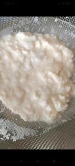 Melk kefir, Diversen, Levensmiddelen, Ophalen