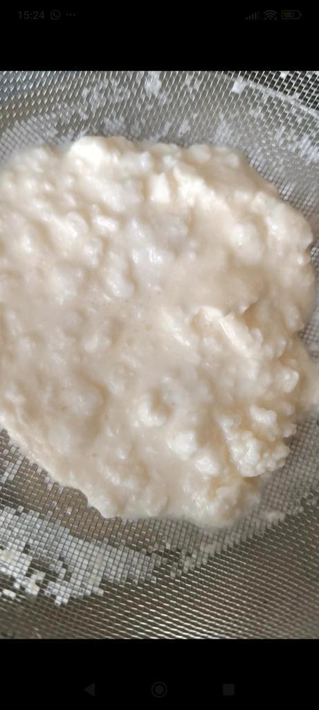 Melk kefir, Diversen, Levensmiddelen, Ophalen