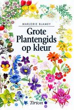 Grote Plantengids op Kleur - Marjorie Blamey  9789052102443, Ophalen of Verzenden, Zo goed als nieuw, Marjorie Blamey, Tuinieren en Tuinplanten