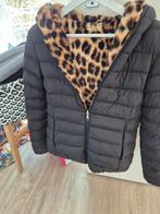 Nieuw Damesjas, Kleding | Dames, Jassen | Winter, Ophalen of Verzenden, Nieuw, Maat 36 (S), Zwart
