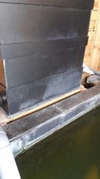 GEZOCHT SANSAI TRICKLE, Karper of Koi