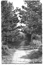 Burgh Haamstede Westerschouwen Oude ansichtkaart ( B888, Verzamelen, Ansichtkaarten | Nederland, Ophalen of Verzenden, 1960 tot 1980