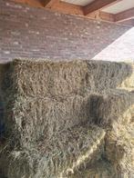Kleine pakken hooi, Dieren en Toebehoren, Dierenvoeding, Ophalen, Vee