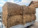 Te koop: 6 grote balen hooi +-450 kilo, Dieren en Toebehoren, Dierenvoeding, Ophalen, Vee