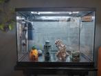 Compleet Aquarium met vele extra toebehoren, alles werkend, Dieren en Toebehoren, Ophalen of Verzenden