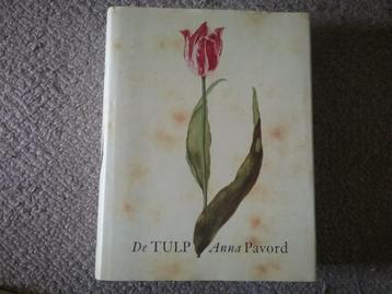 De Tulp / Anna Pavord (1999; geschiedenis)  beschikbaar voor biedingen