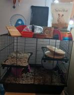 Hamster kooi en toebehoren. (Lees de beschrijving!!), Gebruikt, Minder dan 75 cm, Ophalen, Minder dan 60 cm