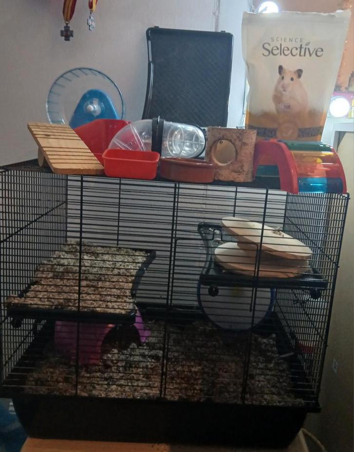 Hamster kooi en toebehoren. (Lees de beschrijving!!), Dieren en Toebehoren, Knaagdieren en Konijnen | Hokken en Kooien, Gebruikt