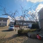 Appelboom, Tuin en Terras, Planten | Bomen, Ophalen, Lente, Volle zon, Overige soorten