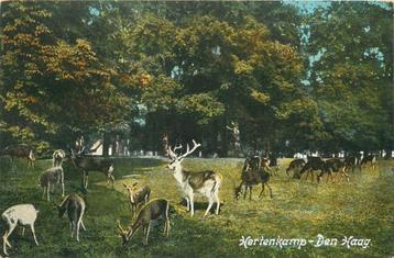 (701-382-041) Den Haag Hertenkamp beschikbaar voor biedingen