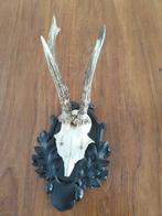 Decoratieve hertengeweitjes te koop, Ophalen, Gebruikt, Binnen