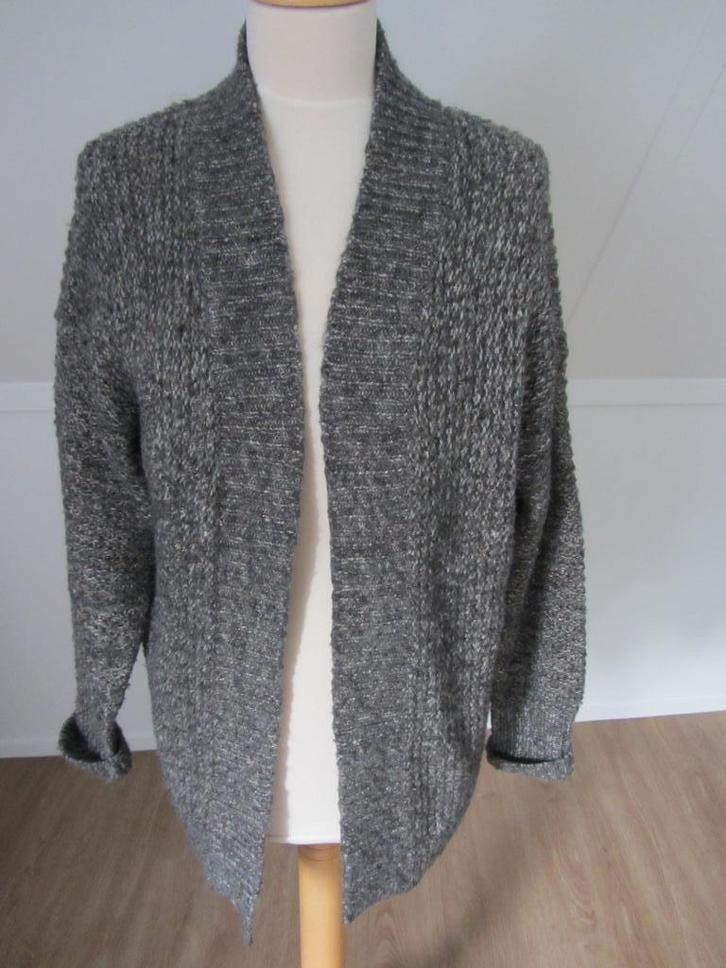 Vest 40, grijs/blauw/gouddraad, Giulia e Tu, bijna nieuw, Kleding | Dames, Truien en Vesten, Zo goed als nieuw, Maat 38/40 (M)