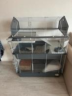 Konijnen / cavia hok, Ophalen, Cavia, Zo goed als nieuw, 90 cm of meer