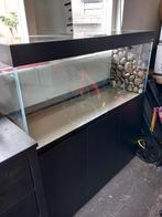 Aquarium 240 liter 120 x 40 x 50 cm. Inclusief onderkast., Dieren en Toebehoren, Vissen | Aquaria en Toebehoren, Ophalen, Zo goed als nieuw