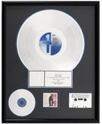 Pretty Woman Soundtrack RIAA Platina Award Uniek!, Verzamelen, Muziek, Artiesten en Beroemdheden, Ophalen of Verzenden, Zo goed als nieuw