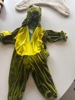 Carnaval krokodil pak - maat 104 of kleiner, Ophalen of Verzenden, Zo goed als nieuw, 104 of kleiner, Jongen of Meisje