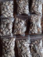 Kauri Schelpen - Decoratie of Knutselmateriaal, Ophalen of Verzenden, Gebruikt