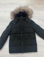 Moose knuckles jas, Ophalen, Zo goed als nieuw, Jas