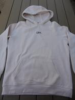 Beige trui, Kleding | Heren, Ophalen of Verzenden, Gedragen, Maat 52/54 (L), Beige