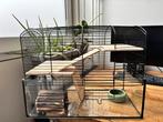 Hamster kooi Zolux Neo Panas, Dieren en Toebehoren, Minder dan 60 cm, Kooi, Minder dan 75 cm, Ophalen of Verzenden
